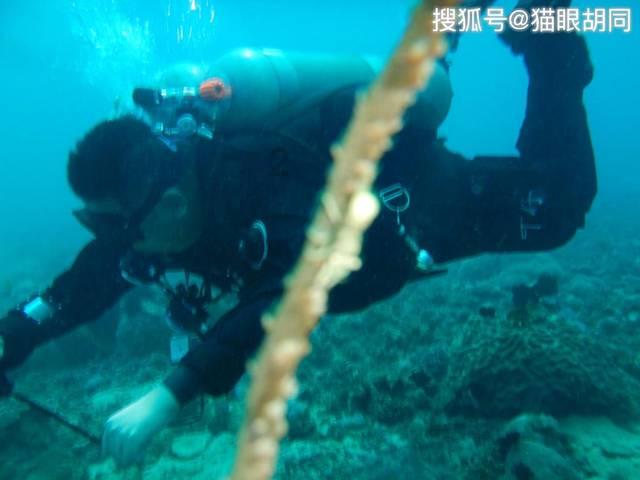 如果荆州不丢，关羽张飞没有被害，刘备有可能一统天下吗？